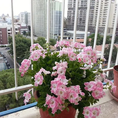 فندق مبيت وإفطار Al Chiaro Di Luna