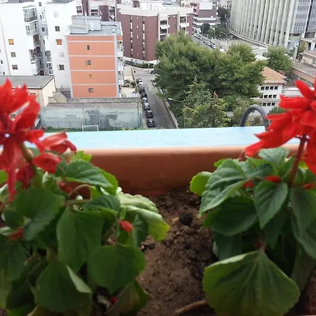 Al Chiaro Di Luna فندق مبيت وإفطار *