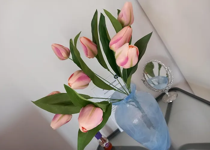 Al Chiaro Di Luna Frühstückspension