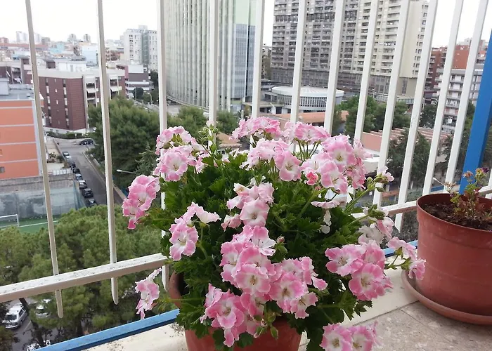 فندق مبيت وإفطار Al Chiaro Di Luna